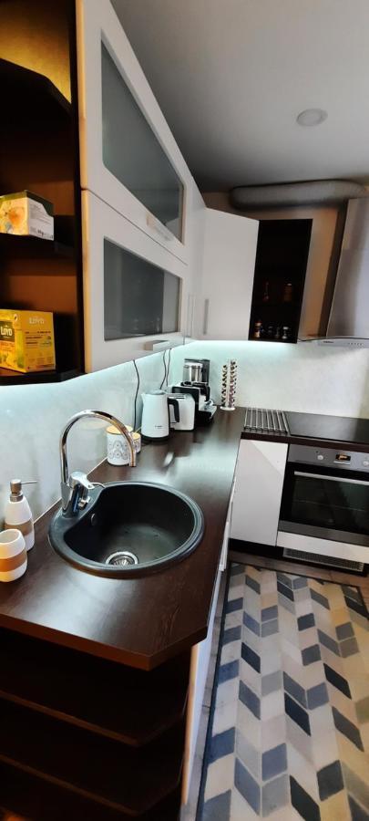 Centrum Bridge Apartment Pärnu Dış mekan fotoğraf